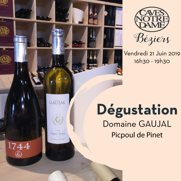 Dégustation Domaine GAUJAL
