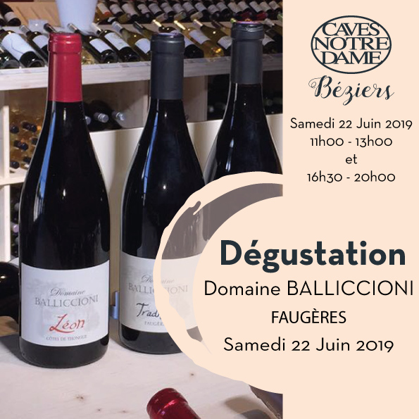 Dégustation Domaine BALLICCIONI