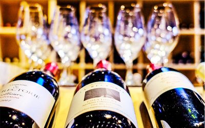 Les vins des vendanges 2019