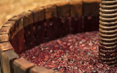 Les vins du moment, on attaque l’automne