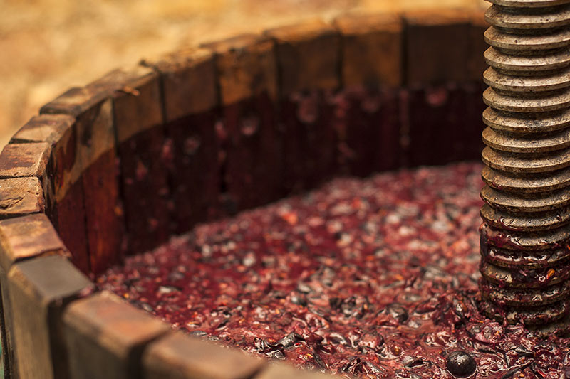 Les vins du moment, on attaque l&rsquo;automne