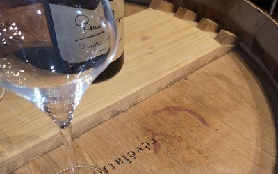 Sélection des premiers vignerons de l’année du 20