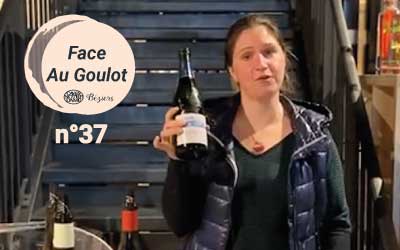Interview Face au goulot : Domaine de Mouscaillo