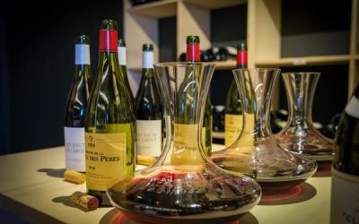 Dégustation thématique : Terroir des Terrasses du Larzac / Accord Mets & vins