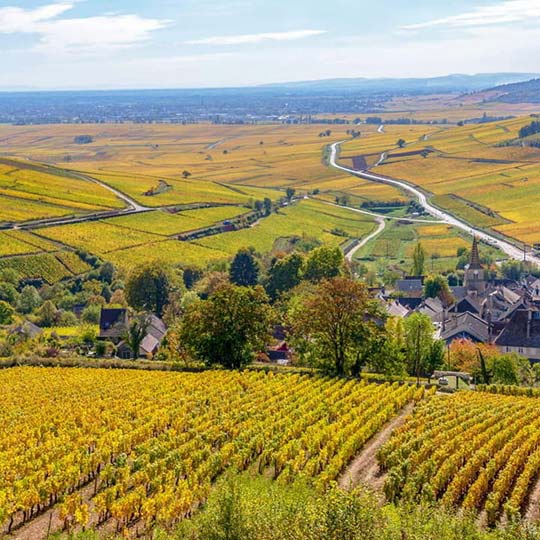 degustation-thematique-vins-bourgogne Jeudi 6 novembre 🍷<br />
La Bourgogne à l’honneur, avec la cuisine du Restaurant La Maison Blanche (Béziers).</p>
<p>