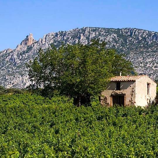  Jeudi 3 avril 🍷<br />
Découvrez les vins des Pyrénées Orientales, accompagnés de mets préparés par La Brasserie Le Carré (Béziers).