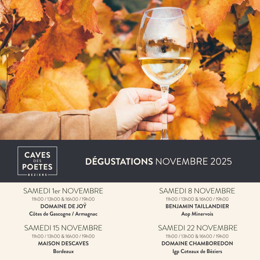 Visuel dégustation novembre 2025