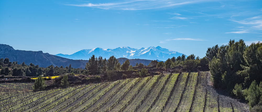 🍷 Newsletter Mars – Caves des Poètes, Béziers