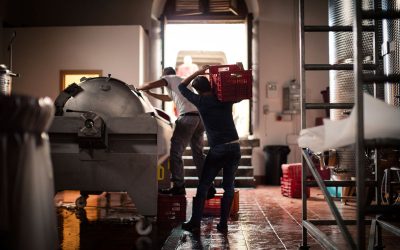 🍷 Newsletter Septembre 2026 – Caves des Poètes, Béziers