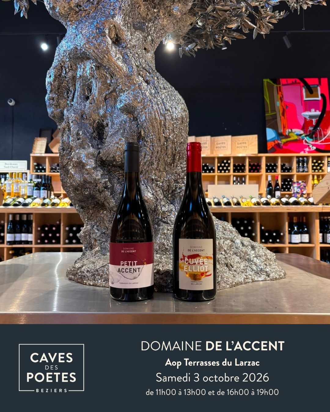 Domaine de l’Accent – Konrad Pixner – Terrasses du Larzac