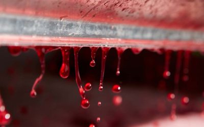 🍷 Newsletter Octobre 2026 – Caves des Poètes, Béziers